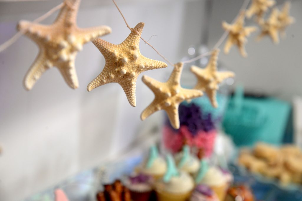 Starfish garland hanging over the stationed snacks and desserts.
